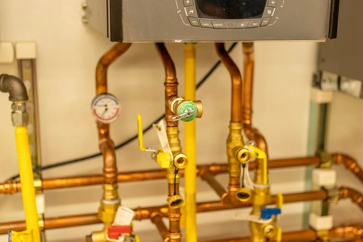 Licensed technician providing Sewer Cleanout for a homeowner in Citrus Park